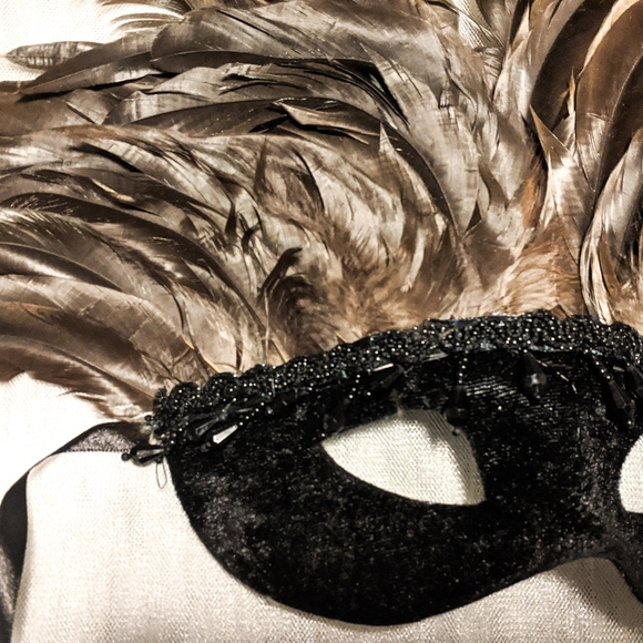 Black Velvet & Chocolate Brown Mask with Feathers - Picture 5 of 6